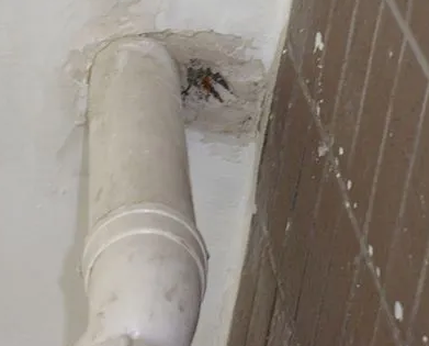 崇信漏水检测哪家好